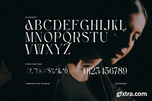 Havko Elegant Serif Font CZRV262