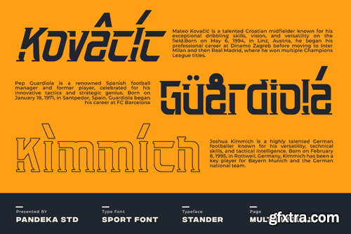 Stander - Baseball Sport Font 28FPA6Y