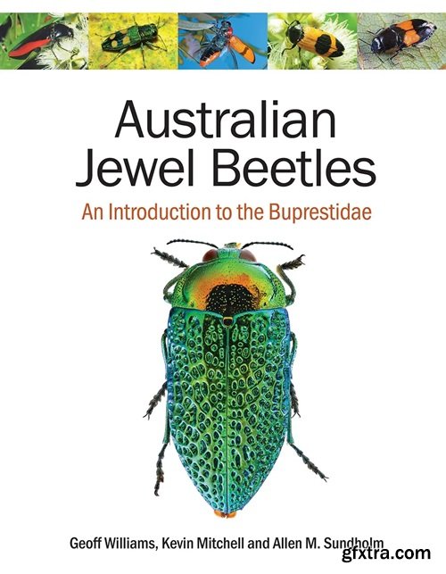 Australian Jewel Beetles: An Introduction to the Buprestidae