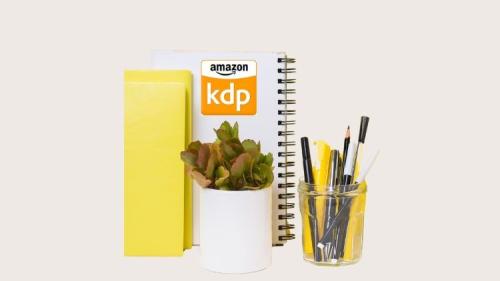 Udemy - Low Content Self-Publishing and Book Marketing on Amazon KDP