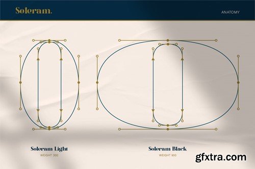 Soleram - 3 styles with 7 Weight Font Y9D2DVK