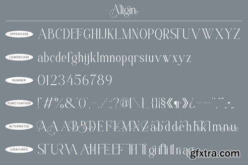 Aligin - Modern Serif Font ZBLZ5CR