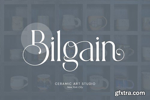 Aligin - Modern Serif Font ZBLZ5CR