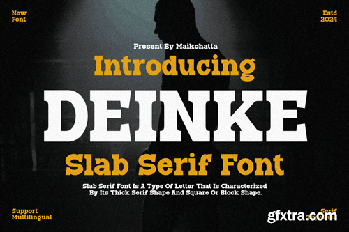 Deinke - Slab Serif Font A3RNNLL