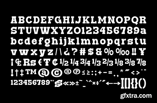 Deinke - Slab Serif Font A3RNNLL