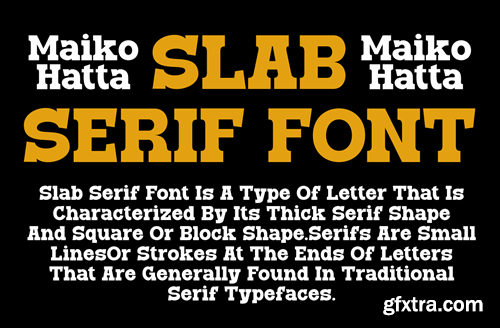 Deinke - Slab Serif Font A3RNNLL