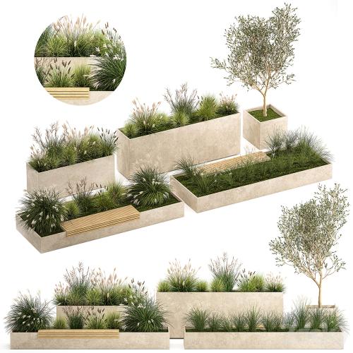 Collection of plants for the urban environment with a flower bed, a bench and concrete outdoor flowerpots, bushes and grass, Miscanthus, olive tree, garden. 1141.