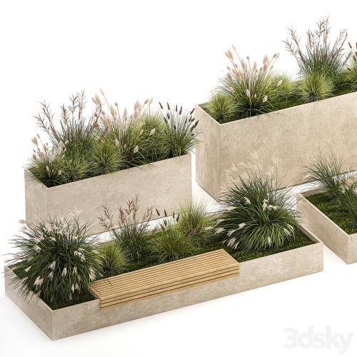 Collection of plants for the urban environment with a flower bed, a bench and concrete outdoor flowerpots, bushes and grass, Miscanthus, olive tree, garden. 1141.