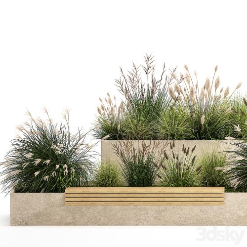 Collection of plants for the urban environment with a flower bed, a bench and concrete outdoor flowerpots, bushes and grass, Miscanthus, olive tree, garden. 1141.