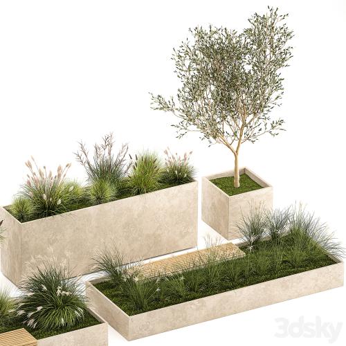 Collection of plants for the urban environment with a flower bed, a bench and concrete outdoor flowerpots, bushes and grass, Miscanthus, olive tree, garden. 1141.