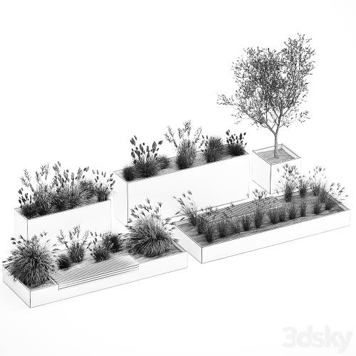 Collection of plants for the urban environment with a flower bed, a bench and concrete outdoor flowerpots, bushes and grass, Miscanthus, olive tree, garden. 1141.