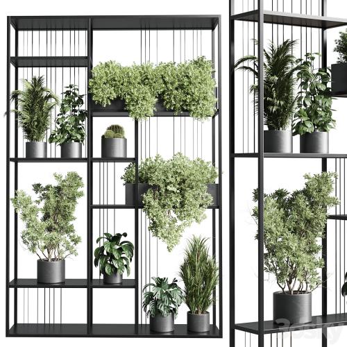 Standing metal shelf with a set of plants in concrete and metal boxes 325