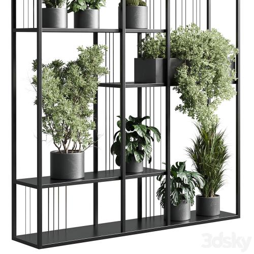 Standing metal shelf with a set of plants in concrete and metal boxes 325