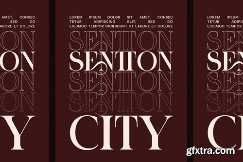 Cetrinn Elegant Ligature Serif Font CUUY4HH