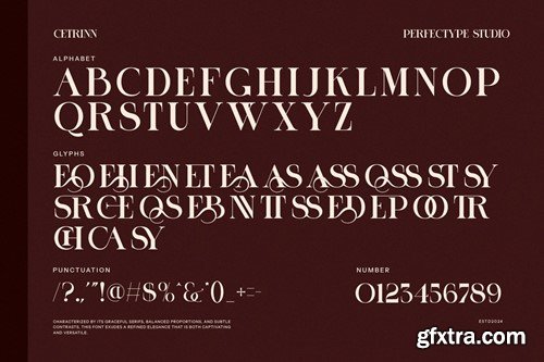 Cetrinn Elegant Ligature Serif Font CUUY4HH