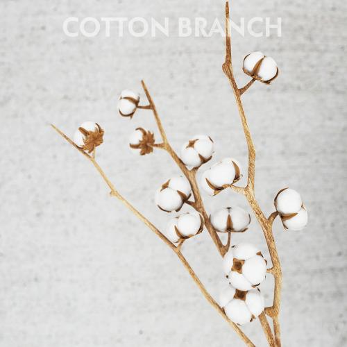 cotton threads