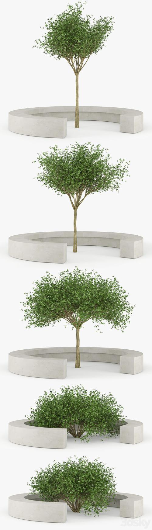 COMB BY VORA ARQUITECTURA Tree Bench