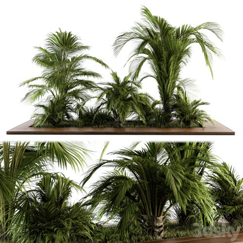 Outdoor Plants tree Tropical Garden - Set 143