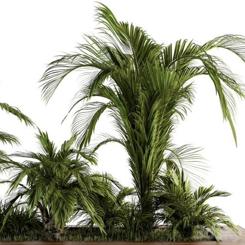 Outdoor Plants tree Tropical Garden - Set 143