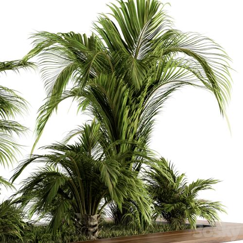 Outdoor Plants tree Tropical Garden - Set 143