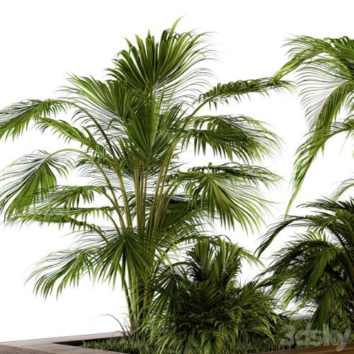 Outdoor Plants tree Tropical Garden - Set 143