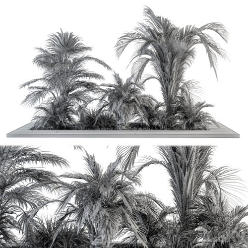 Outdoor Plants tree Tropical Garden - Set 143