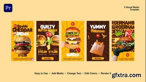 Videohive Burger Instagram Stories 54193533