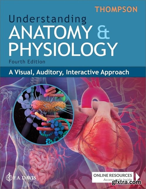 Understanding Anatomy & Physiology: A Visual, Auditory, Interactive Approach, 4th Edition