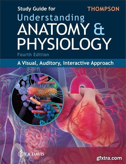 Study Guide for Understanding Anatomy & Physiology: A Visual, Auditory, Interactive Approach, 4th Edition