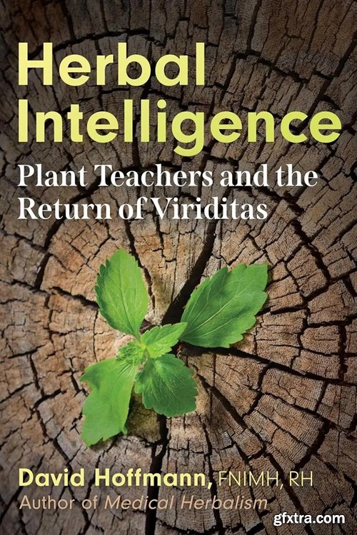 Herbal Intelligence: Plant Teachers and the Return of Viriditas