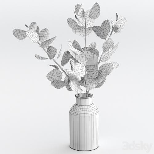 Bouquet of eucalyptus twigs.