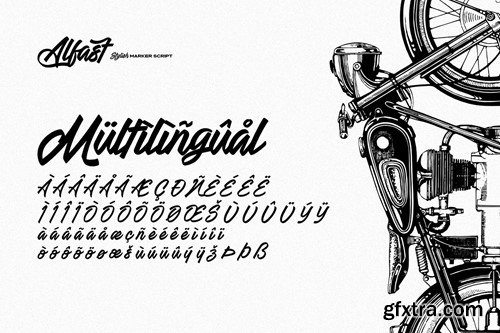 Alfast - Stylish Marker Script MK3A9ZQ