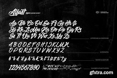 Alfast - Stylish Marker Script MK3A9ZQ