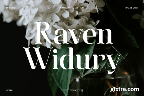 Raven Widury U4NA3FR