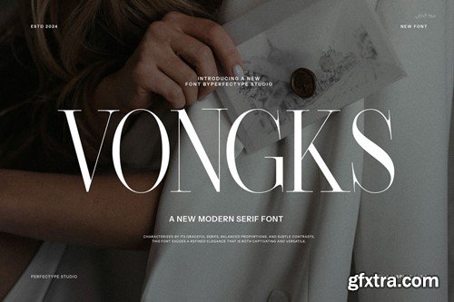 Vongks Elegant Serif Font 525H9FF