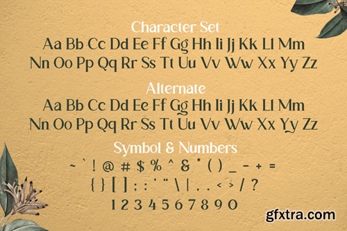 Garmelia | Aeshtetic Vintage Serif Font D9P3C8T