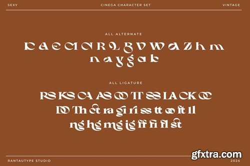 Cinega Sexy Vintage Serif Font CZVM58E