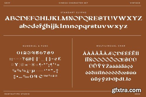 Cinega Sexy Vintage Serif Font CZVM58E