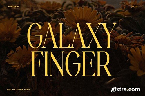 Galaxy Finger Elegant Serif Font V8KCDF5