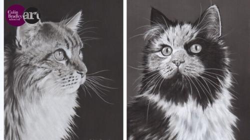 Udemy - Master Cat Portraits: Create Stunning Feline Art with Pastel