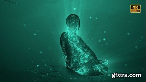 Videohive Satori - Sudden Enlightenment 28475779