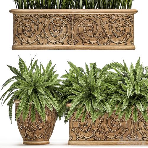 A collection of plants in classic outdoor pots vases with monograms with ferns, bushes, grass, flowerbed. Set 496.