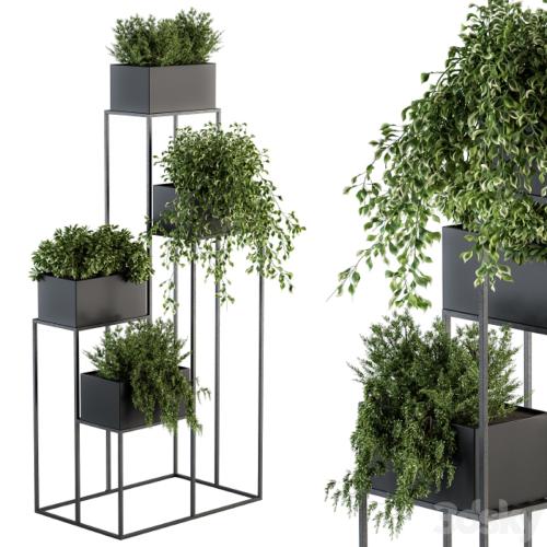 indoor Plant Set 100 - Black stand