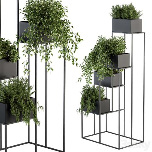 indoor Plant Set 100 - Black stand