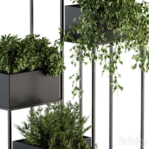 indoor Plant Set 100 - Black stand