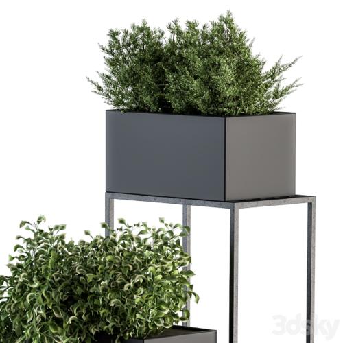 indoor Plant Set 100 - Black stand