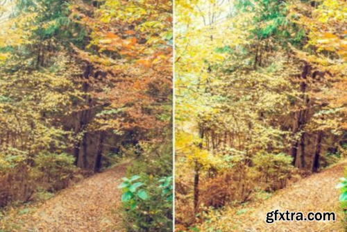 10 Cinnamon Spice Fall Lightroom Presets