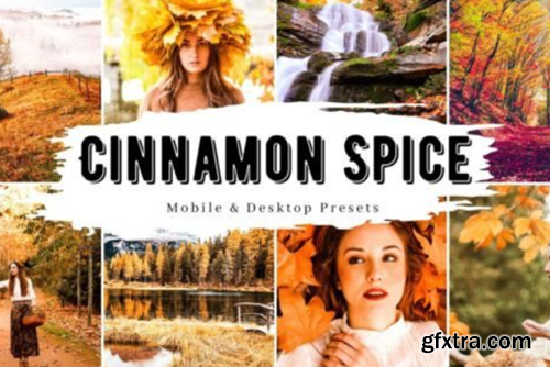 10 Cinnamon Spice Fall Lightroom Presets