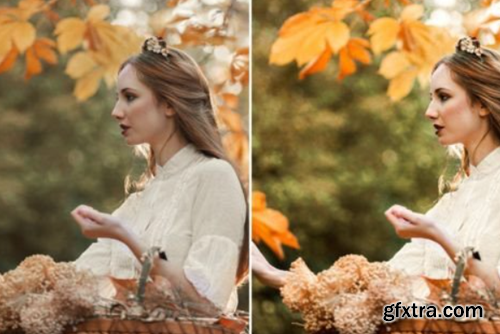 10 Cinnamon Spice Fall Lightroom Presets