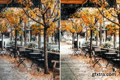 10 Autumn Spice Lightroom Presets